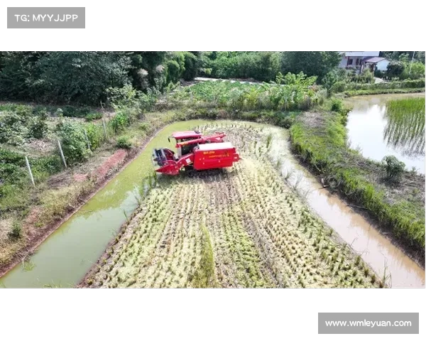 梦想帝王种地指南:田园富饶之路 梦想帝王种地指南:田园富饶之路