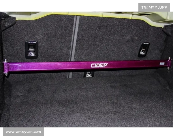 赵云传：龙胆枪独步天下，攻无不克的秘密武器揭秘